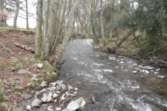 45. Downstream from West Luccombe