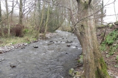 46. Downstream from West Luccombe