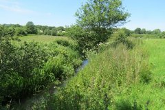 2.-Mill-stream-upstream-from-Hornsbury-Mill