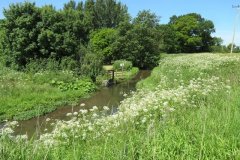 7.-Mill-stream-upstream-from-Hornsbury-Mill