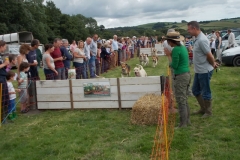 Hound Rcing by the Barle at Brushford (12)