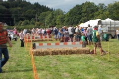 Hound Rcing by the Barle at Brushford (13)