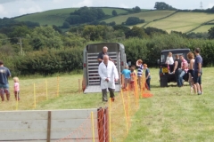 Hound Rcing by the Barle at Brushford (16)
