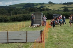 Hound Rcing by the Barle at Brushford (17)