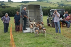 Hound Rcing by the Barle at Brushford (20)