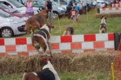 Hound Rcing by the Barle at Brushford (21)