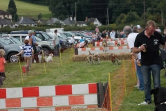 Hound Rcing by the Barle at Brushford (22)