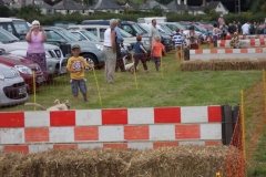 Hound Rcing by the Barle at Brushford (23)