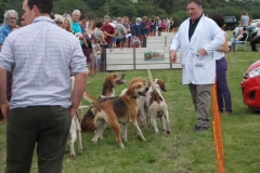 Hound Rcing by the Barle at Brushford (7)