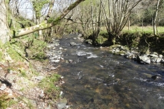 24. Flowing through Heddon's Mouth Cleave