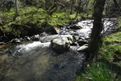 26. Flowing through Heddon's Mouth Cleave