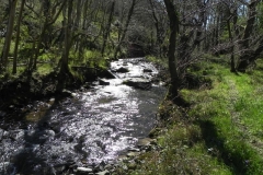 28. Flowing through Heddon's Mouth Cleave