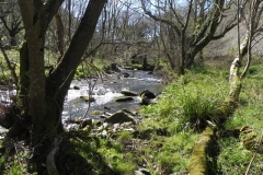 29. Flowing through Heddon's Mouth Cleave