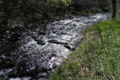 31. Flowing through Heddon's Mouth Cleave