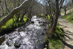33. Flowing through Heddon's Mouth Cleave