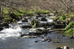 35. Flowing through Heddon's Mouth Cleave