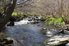 36. Flowing through Heddon's Mouth Cleave
