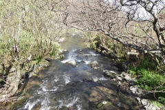 40. Looking downstream from Heddon Mouth Footbridge