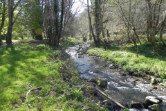 6. Upstream from join with Trentishoe Water
