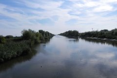 17.-Looking-upstream-from-Withy-Drove-Bridge