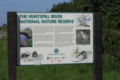 53.-Huntspill-River-National-Nature-Reserve