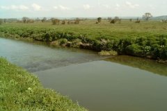 10.-Weir-downstream-from-Butts-Bridge
