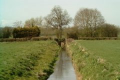 13.-Rhine-Bridge
