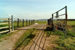 4.-Butt-Moor-Bridge-Deck