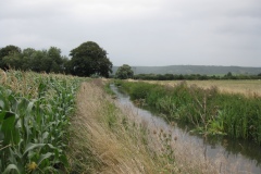 11.-Etsome-Farm-Footbridge2-Looking-Upstream