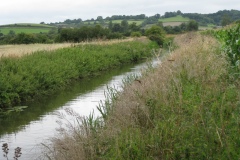 8.-Etsome-Farm-Footbridge-Looking-Downstream