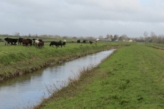 10.-Upstream-from-Midelney-Pumping-Station-1