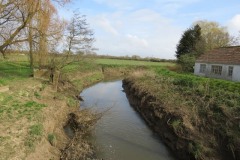 3.-Looking-upstream-from-Thorney-Bridge