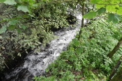 1. Downstream from ROW Bridge 2807