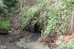 11. Outlet from Chargot House pond