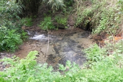 12. Outlet from Chargot House pond