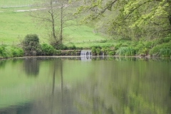 13. Chargot House pond  (3)