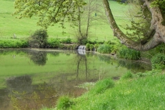 14. Chargot House pond weir  (2)