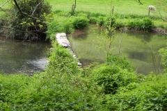 16. Chargot House pond weir  (1)