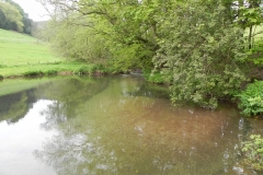 16. Chargot House pond weir  (2)
