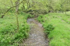18. Downstream from Upper Pond Cottages (1)