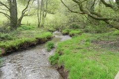 18. Downstream from Upper Pond Cottages (2)
