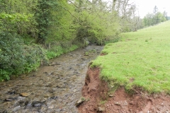 18. Downstream from Upper Pond Cottages (3)