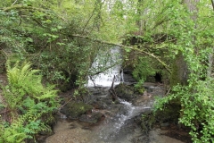 19. Cascade downstream from Upper Pond Cottages  (1)