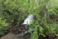 19. Cascade downstream from Upper Pond Cottages  (2)