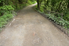 3. ROW Bridge 2807