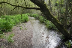 5. Downstream from ROW Bridge 2840