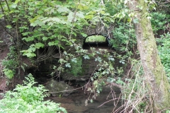 7. ROW Bridge 2840 downstream arch