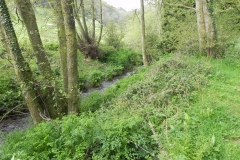 8. Upstream from ROW Bridge 2840