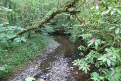 1.-Iron-Mill-stream-1