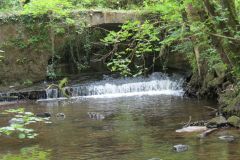 1.-Iron-Mill-stream-10